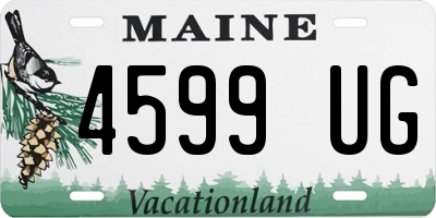 ME license plate 4599UG