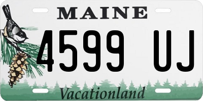 ME license plate 4599UJ