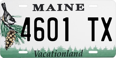 ME license plate 4601TX