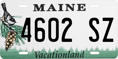 ME license plate 4602SZ