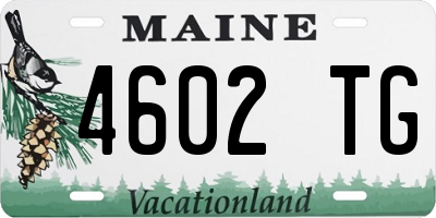 ME license plate 4602TG