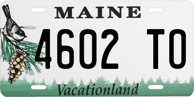 ME license plate 4602TO