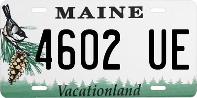 ME license plate 4602UE