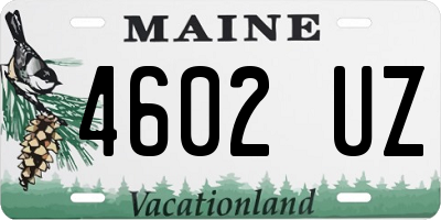 ME license plate 4602UZ