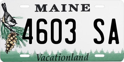 ME license plate 4603SA