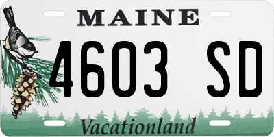 ME license plate 4603SD