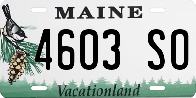 ME license plate 4603SO