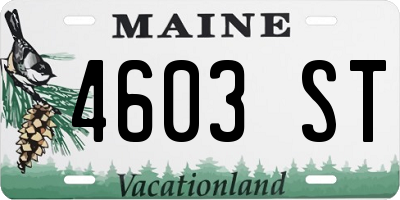ME license plate 4603ST
