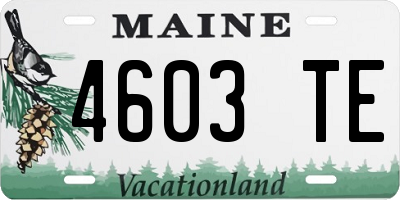 ME license plate 4603TE