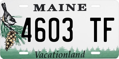 ME license plate 4603TF