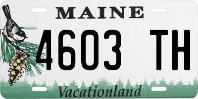ME license plate 4603TH