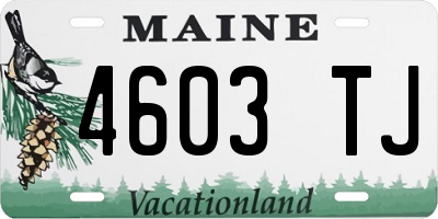 ME license plate 4603TJ