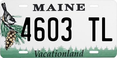 ME license plate 4603TL