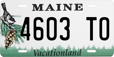ME license plate 4603TO