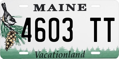 ME license plate 4603TT