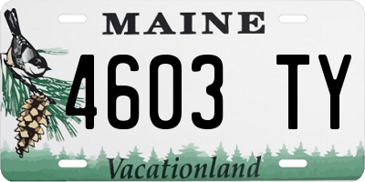ME license plate 4603TY