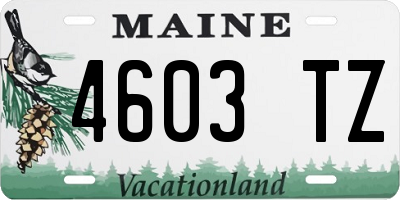 ME license plate 4603TZ