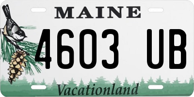 ME license plate 4603UB