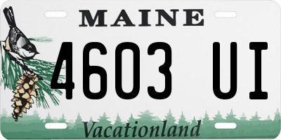 ME license plate 4603UI