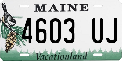 ME license plate 4603UJ
