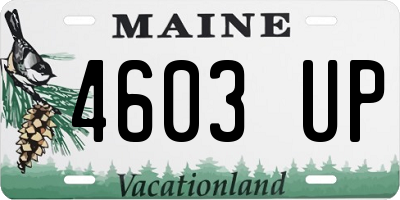 ME license plate 4603UP