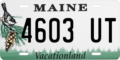 ME license plate 4603UT