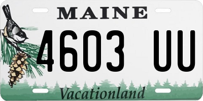 ME license plate 4603UU