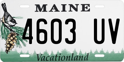 ME license plate 4603UV