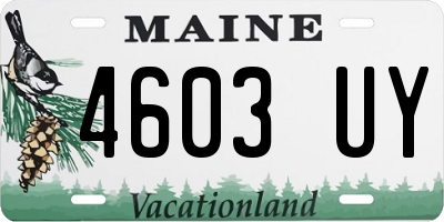 ME license plate 4603UY