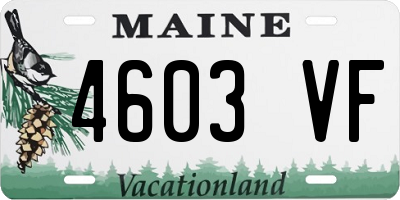 ME license plate 4603VF