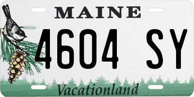 ME license plate 4604SY