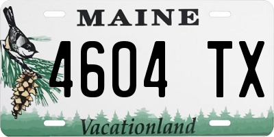 ME license plate 4604TX