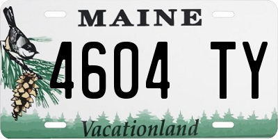 ME license plate 4604TY