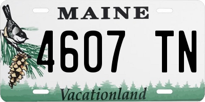 ME license plate 4607TN