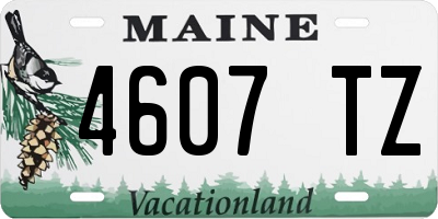 ME license plate 4607TZ