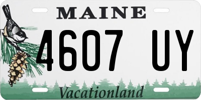 ME license plate 4607UY