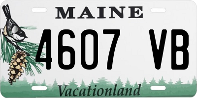 ME license plate 4607VB