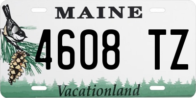 ME license plate 4608TZ