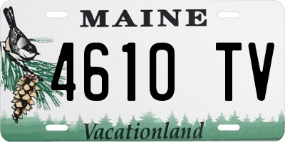 ME license plate 4610TV