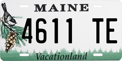 ME license plate 4611TE