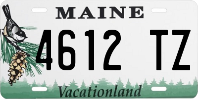 ME license plate 4612TZ