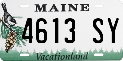 ME license plate 4613SY