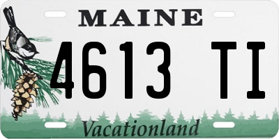 ME license plate 4613TI