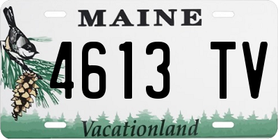 ME license plate 4613TV