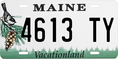 ME license plate 4613TY