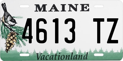 ME license plate 4613TZ