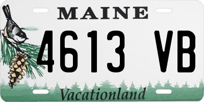 ME license plate 4613VB