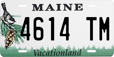 ME license plate 4614TM