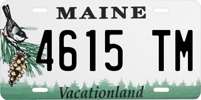ME license plate 4615TM