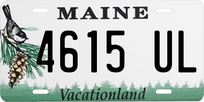 ME license plate 4615UL